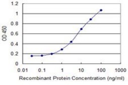 Monoclonal Anti-GADD45G antibody produced in mouse clone 1G10, purified immunoglobulin, buffered aqueous solution