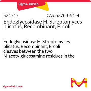 Endoglycosidase H, Streptomyces plicatus, Recombinant, E. coli Endoglycosidase H, Streptomyces plicatus, Recombinant, E. coli cleaves between the two N-acetylglucosamine residues in the diacetylchitobiose core of the oligosaccharide.