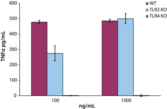 Lipid A, monophosphoryl from Salmonella enterica serotype minnesota Re 595 (Re mutant) lyophilized powder, TLR ligand tested