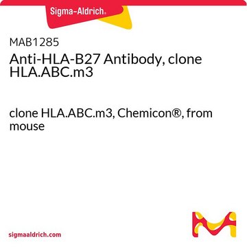 Anti-HLA-B27 Antibody, clone HLA.ABC.m3 clone HLA.ABC.m3, Chemicon&#174;, from mouse