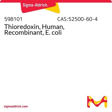 Thioredoxin, Human, Recombinant, E. coli