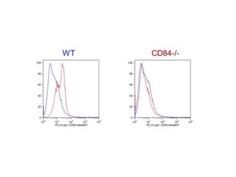 Anti-CD84/Slamf5 Antibody, clone 1D3 clone 1D3, from rat