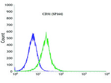 Anti-CD31 antibody, Rabbit monoclonal clone SP164, recombinant, expressed in proprietary host, affinity isolated antibody