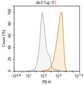Anti-Ganglioside GD2 Antibody, clone 14G2a ZooMAb&#174; Mouse Monoclonal recombinant, expressed in HEK 293 cells
