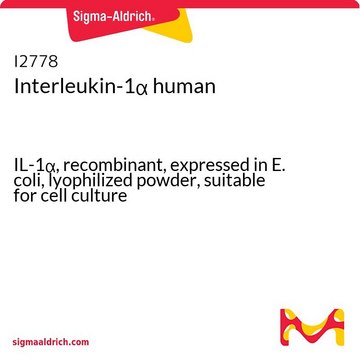 Interleukin-1&#945; human IL-1&#945;, recombinant, expressed in E. coli, lyophilized powder, suitable for cell culture