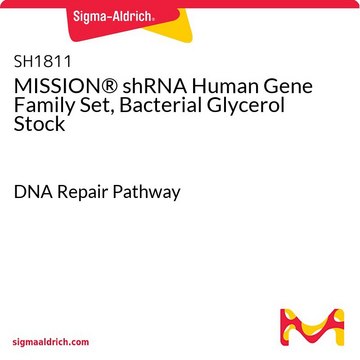 MISSION&#174; shRNA Human Gene Family Set, Bacterial Glycerol Stock DNA Repair Pathway