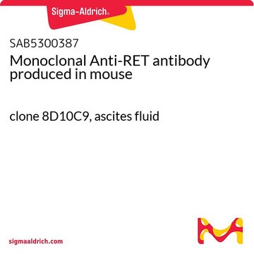 Monoclonal Anti-RET antibody produced in mouse clone 8D10C9, ascites fluid