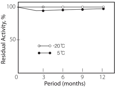 Invertase from Candida utilis Grade X, &#8805;300&#160;units/mg solid