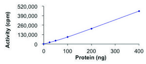AKT1 (E17K), Active PRECISIO&#174; Kinase, recombinant