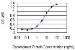 Monoclonal Anti-ZNF10, (N-terminal) antibody produced in mouse clone 1E1, purified immunoglobulin, buffered aqueous solution