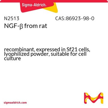 NGF-&#946; from rat recombinant, expressed in Sf21 cells, lyophilized powder, suitable for cell culture