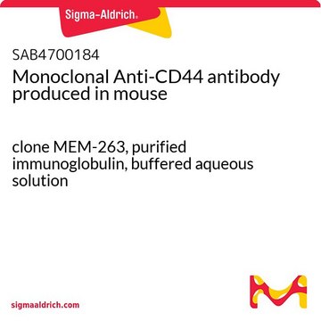 Monoclonal Anti-CD44 antibody produced in mouse clone MEM-263, purified immunoglobulin, buffered aqueous solution