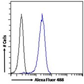 Anti-ACHE antibody produced in goat affinity isolated antibody, buffered aqueous solution