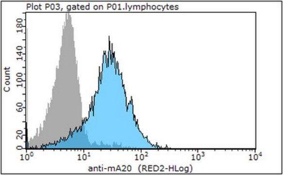 Anti-mA20 Antibody/TNFAIP3, clone 37 clone 37, 0.5&#160;mg/mL, from rat