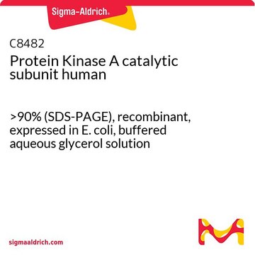 Protein Kinase&#160;A catalytic subunit human &gt;90% (SDS-PAGE), recombinant, expressed in E. coli, buffered aqueous glycerol solution