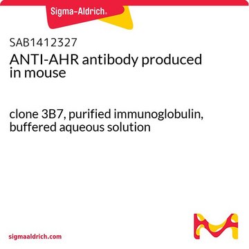 ANTI-AHR antibody produced in mouse clone 3B7, purified immunoglobulin, buffered aqueous solution