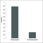 Anti-phospho-CaMK2-&#946;/&#947;/&#948; (pThr287) antibody produced in rabbit affinity isolated antibody