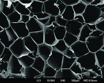 SpongeCol&#174; Columnar Architecture