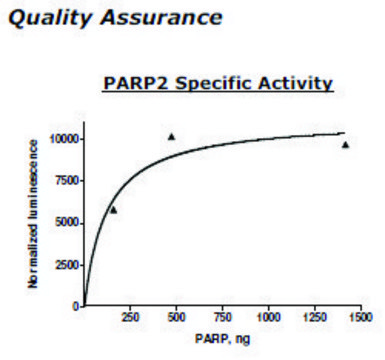 PARP2 Active human recombinant, expressed in baculovirus infected insect cells, &#8805;60% (SDS-PAGE)