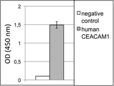 Anti-CEACAM1/CD66a Antibody, clone B3-17 clone B3-17, from mouse