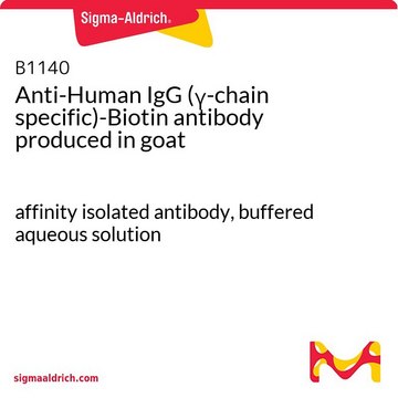 Anti-Human IgG (&#947;-chain specific)-Biotin antibody produced in goat affinity isolated antibody, buffered aqueous solution