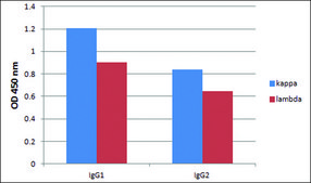 Anti-Human IgG (Fc specific) antibody, Mouse monoclonal clone GG-7, purified from&nbsp;hybridoma&nbsp;cell culture