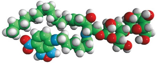 C6-NBD Lactosyl Ceramide Avanti Research&#8482; - A Croda Brand 810226P, powder