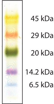 Color Marker low range, mol wt 6,500-45,000&#160;Da