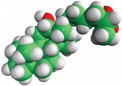 trihydroxycholestanoic acid Avanti Research&#8482; - A Croda Brand