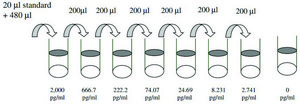 Mouse MIG / CXCL9 ELISA Kit for serum, plasma and cell culture supernatant