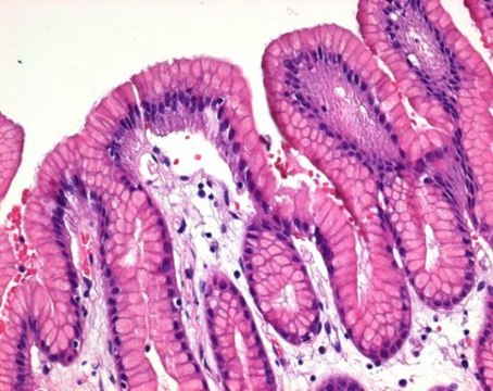 Eosin Y-solution 0.5% alcoholic for microscopy