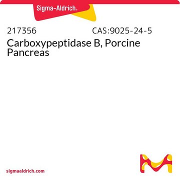 Carboxypeptidase B, Porcine Pancreas