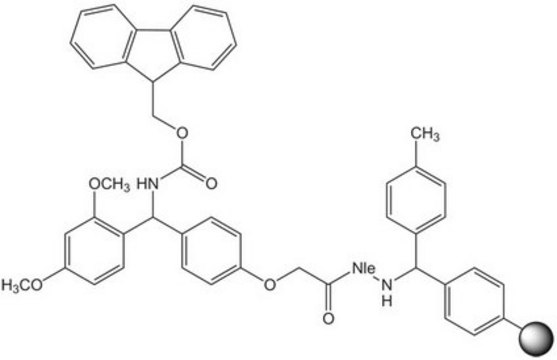 Rink Amide MBHA resin LL (100-200 mesh) Novabiochem&#174;