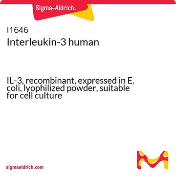 Interleukin-3 human IL-3, recombinant, expressed in E. coli, lyophilized powder, suitable for cell culture