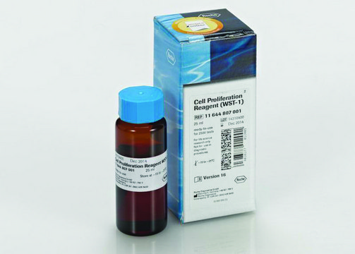 Cell Proliferation Reagent WST-1 suitable for protein quantification, suitable for cell analysis, detection, solution