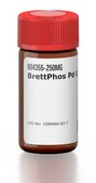 BrettPhos Pd G4