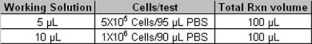 Milli-Mark Anti-Ki67 Antibody, clone Ki-S5 APC conjugate clone Ki-S5, Milli-Mark&#174;, from mouse