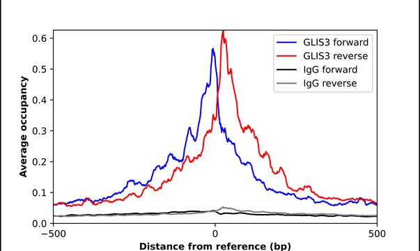 Anti-GLIS3 antibody produced in rabbit Prestige Antibodies&#174; Powered by Atlas Antibodies, affinity isolated antibody, buffered aqueous glycerol solution