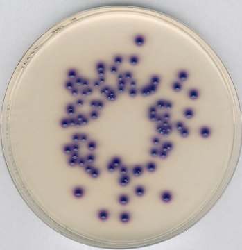 Chromocult&#174; Coliform Agar ES suitable for microbiology