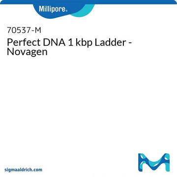 Perfect DNA 1 kbp Ladder - Novagen