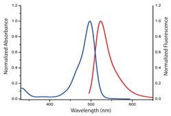 Fluor 488-Alkyne 95% (HPLC)