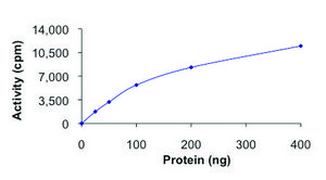 c-KIT (T670E), active, GST tagged human PRECISIO&#174;, recombinant, expressed in baculovirus infected Sf9 cells, &#8805;70% (SDS-PAGE), buffered aqueous glycerol solution
