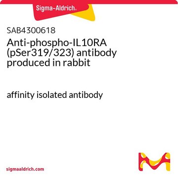 Anti-phospho-IL10RA (pSer319/323) antibody produced in rabbit affinity isolated antibody