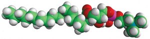 19:0 Lyso PC Avanti Research&#8482; - A Croda Brand 855776C