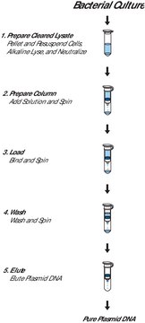 GenElute&#8482; Plasmid Miniprep Kit sufficient for 350&#160;purifications