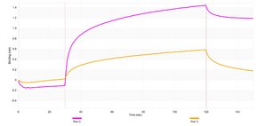 Anti-Siglec1/CD169 Antibody, clone 1O8 ZooMAb&#174; Rabbit Monoclonal recombinant, expressed in HEK 293 cells