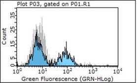 Anti-Integrin &#946;1 Antibody, clone P5D2 (Azide Free)| MAB1959 clone P5D2, Chemicon&#174;, from mouse