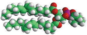 18:2 (Cis) PC (DLPC) Avanti Research&#8482; - A Croda Brand
