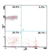 Monoclonal Anti-CD8&#8722;FITC antibody produced in mouse clone UCHT-4, purified immunoglobulin, buffered aqueous solution