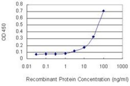 Monoclonal Anti-PDE5A antibody produced in mouse clone 9H5, purified immunoglobulin, buffered aqueous solution